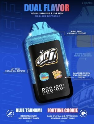 unipuff duos 2g disposable